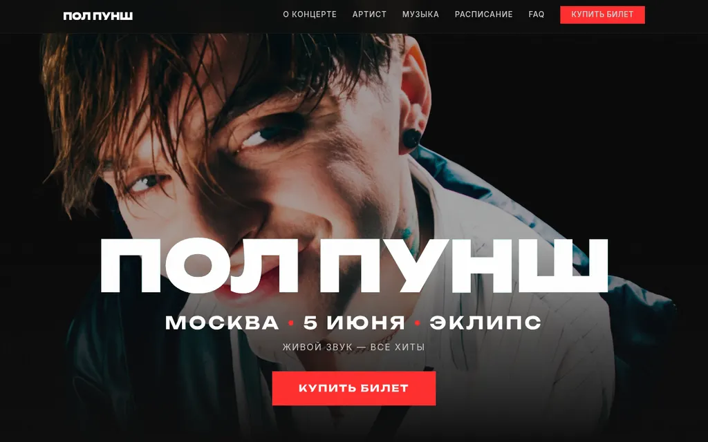Website screenshot Pol Punsh